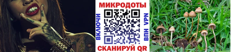 сайты даркнета состав  как найти наркотики  Макушино  Галлюциногенные грибы Psilocybe 